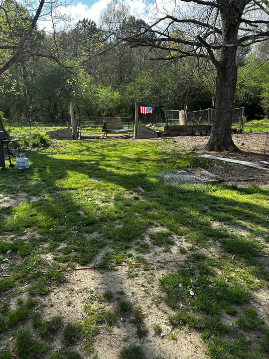 Investment Oportunity in Trion, GA 30753 | 3bd | 1ba | 1,440 SQFT