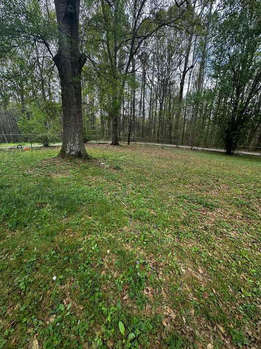 Investment Oportunity in Sumerville, GA 30747 | 4bd | 2ba | 1,440 SQFT