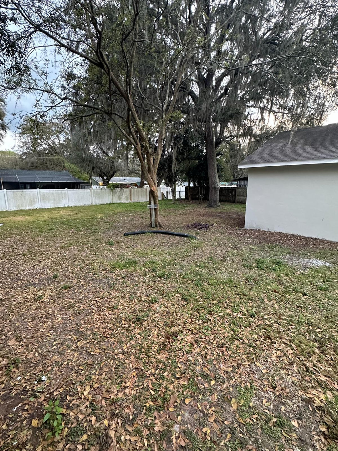 Home for Rent in Zephyrhills, FL 33541